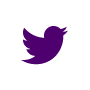 ico twitter violet